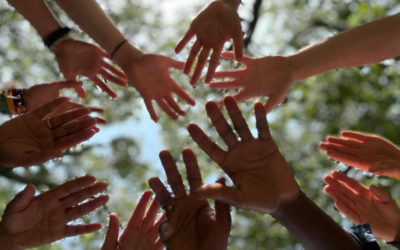 Highlights from Summer!